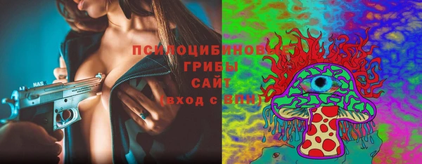 шишки Алексин