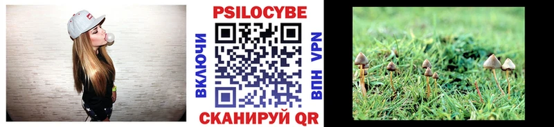 Псилоцибиновые грибы прущие грибы  Москва 